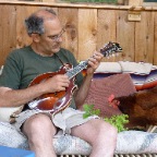 bill with chicken